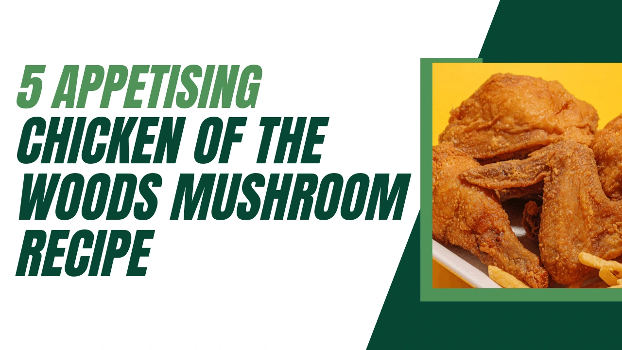 5-Appetising-Chicken-of-the-Woods-Mushroom-Recipe